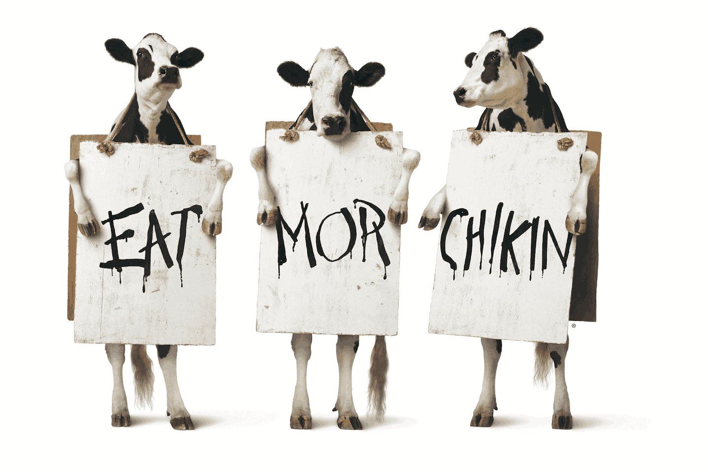  Chick-Fil-A Night